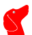 for dog