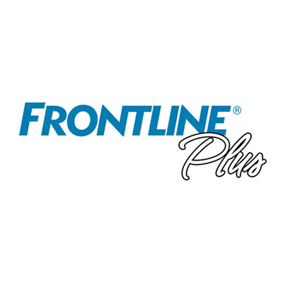 FRONTLINE