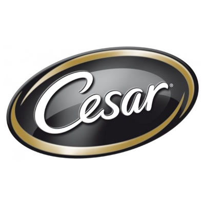 Cesar