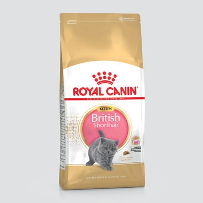 Royal Canin - British Shorthair - Kitten 