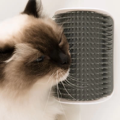 Catit - Catit Senses 2.0 Self Groomer