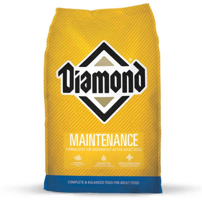 Diamond - Diamond - MAINTENANCE - Dog