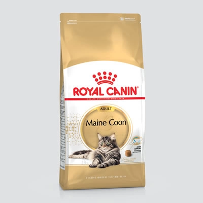 Royal Canin - Maine Coon - Adult