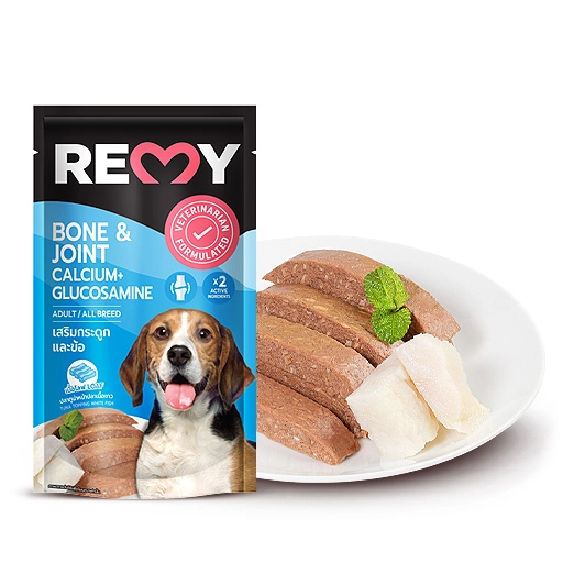 REMY - Bone & Joint for Dog