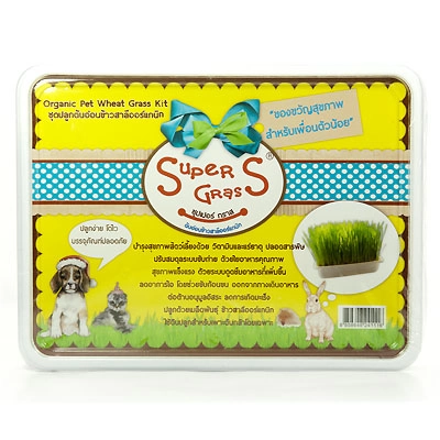 Super Grass - ชุดปลูกต้นข้าวสาลีออร์แกนิก